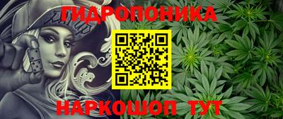 mix Кингисепп