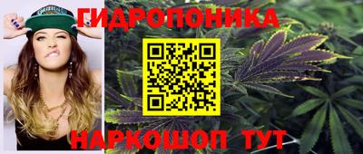 mix Кингисепп